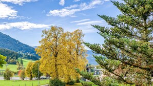 Vista de un campo verde con un árbol grande y un edificio al fondo.