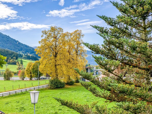 Property grounds - Beautiful group accommodation only 240m from the ski lift! (Brixen im Thale)