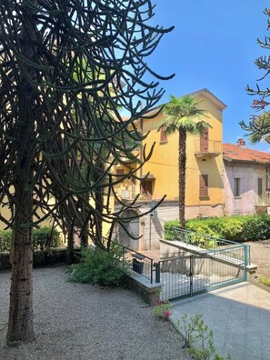 Stroll through a tranquil courtyard surrounded by lush greenery and a majestic palm tree, with an entrance and a charming balcony.