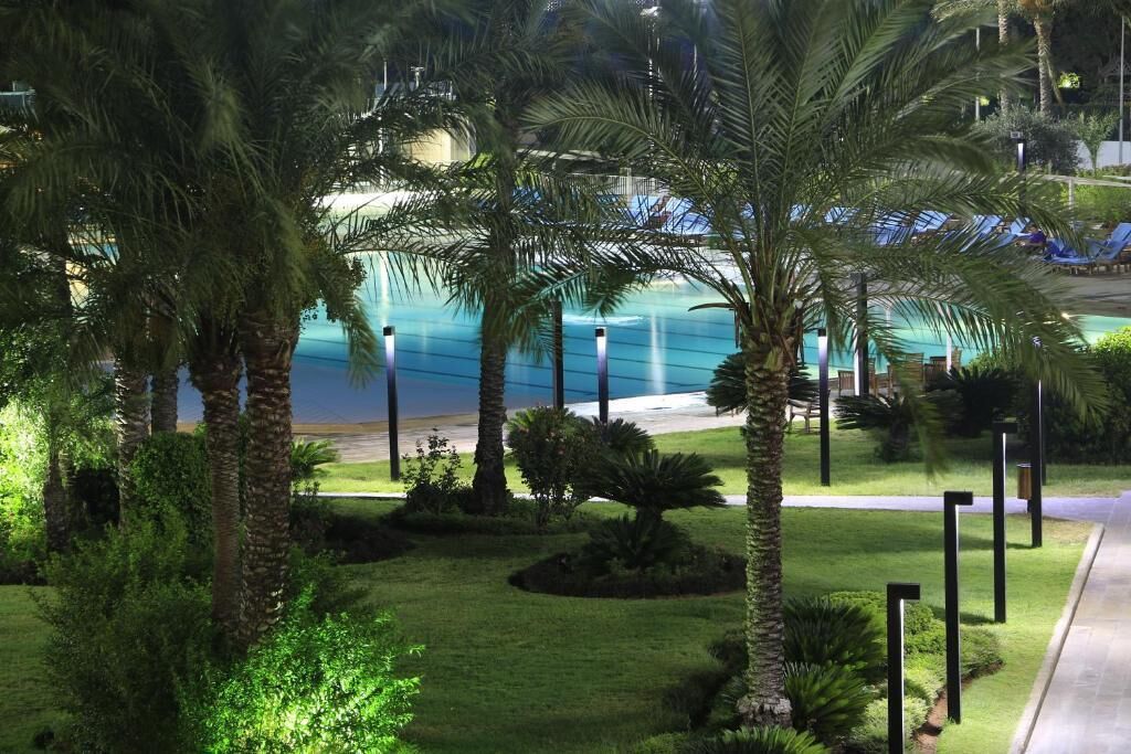 A well-maintained garden with palm trees and a pool area.
