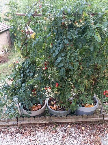 Le chalet de Sabine et Patrick