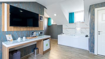 Suite Room 1+1 | TV