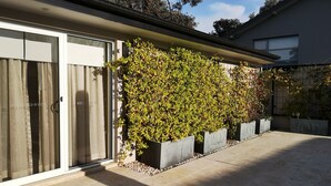 A modern building with a large glass door, a covered patio area, and a wall covered with climbing plants. - Modern 2BR/1BA/2+CAR Home in Central Canberra (Campbell)