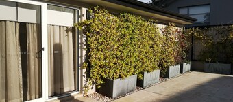 Two-bedroom duplex in central Canberra