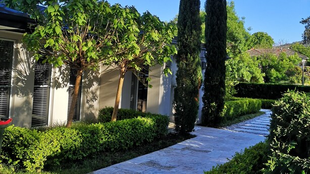 A pathway leading to a building with a traditional architectural style, surrounded by well-maintained hedges and trees. - Modern 2BR/1BA/2+CAR Home in Central Canberra (Campbell)
