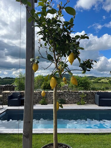 Cabane Insolite L'alrance