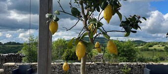 Cabane Insolite L'alrance