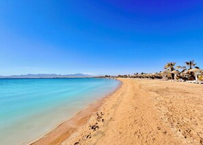 A beach with clear turquoise water, a sandy shore, and a row of palm trees and umbrellas.