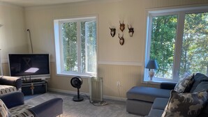 TV, DVD player, books, video library
