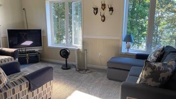 TV, DVD player, books, video library