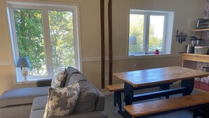 TV, DVD player, books, video library