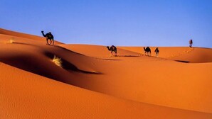 A desert landscape with sand dunes and camels.