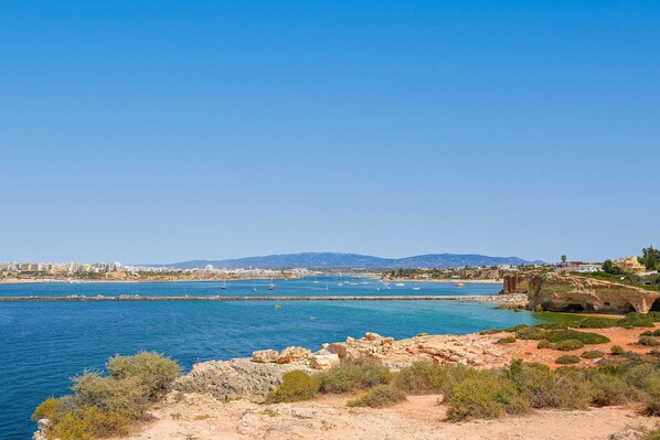 Imagen sin descripción, 1 de 21, botón