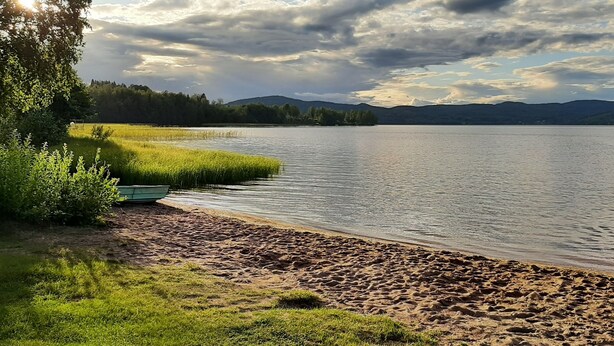 Blick auf einen See mit Sandstrand, Wiesen und einer Baumreihe.