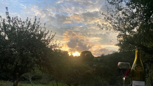 Un jacuzzi con una botella de vino y una copa, frente a una vista al atardecer con árboles y una mesa de picnic al frente.