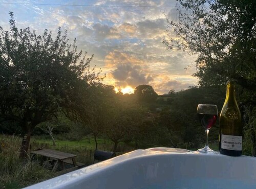 Plum Hut, romantic shepherd hut retreat with log burner, hot tub, pet friendly!