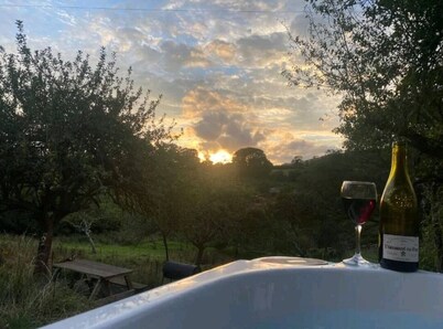 Plum Hut, romantic shepherd hut retreat with log burner, hot tub, pet friendly!