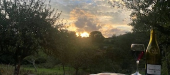 Plum Hut, romantic shepherd hut retreat with log burner, hot tub, pet friendly!