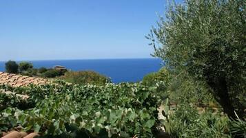 Vista dalla struttura