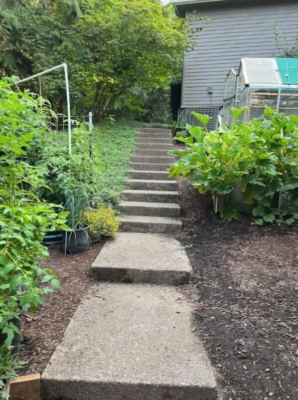 Un sendero en un jardín que lleva a una casa con techo verde y un invernadero.