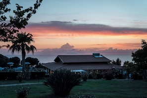 A house with a tiled roof, surrounded by a garden with palm trees and other vegetation, overlooking a body of water. - Agriresidence Ninea (Ricadi)