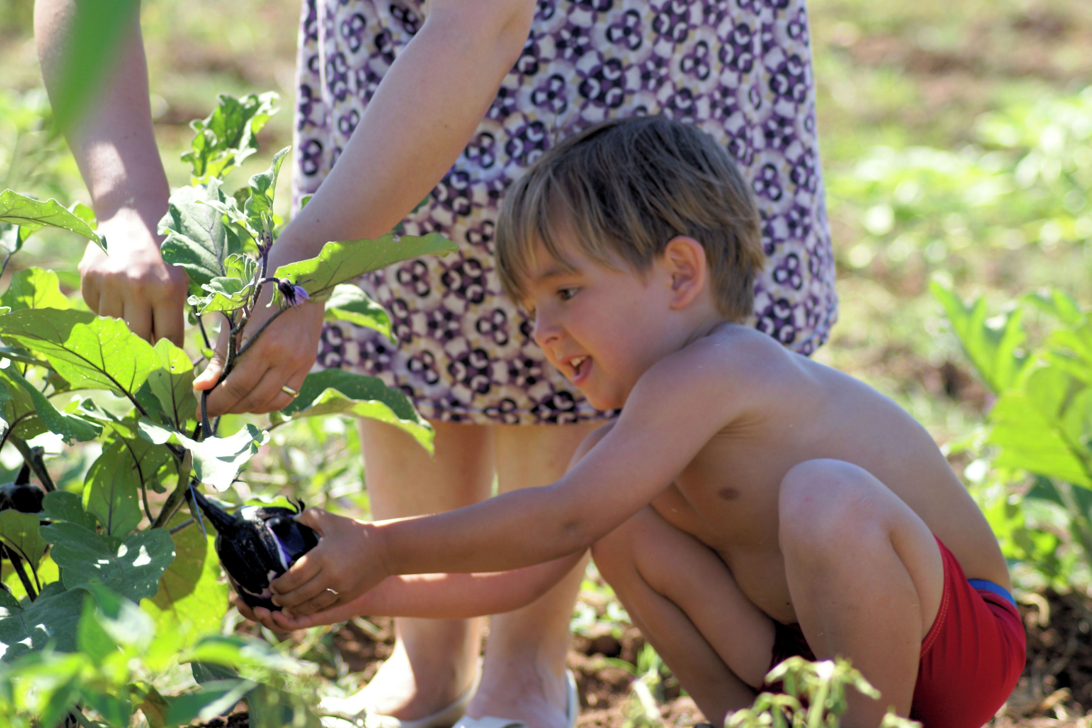 Un niño con bañador rojo y un vestido estampado junto a un adulto, ambos interactuando con una planta.