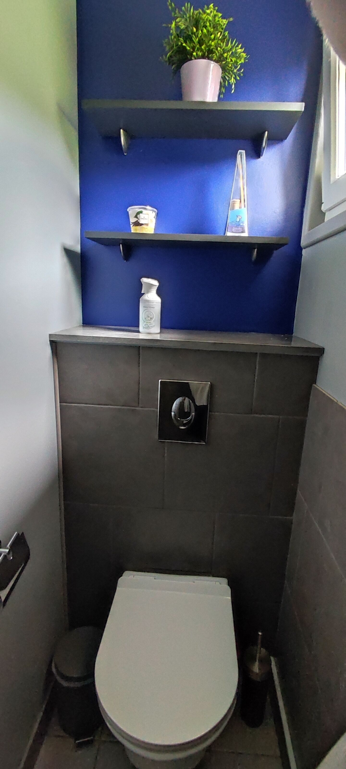 A small bathroom with a white toilet, a black wall-mounted flush handle, a small trash bin, and a shelf with a potted plant and a bottle.