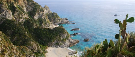 Vue sur la plage/l’océan