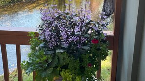 A potted plant with purple flowers on a wooden railing overlooking a river and trees. - Cozy cabin with riverfront location, fire pit and peaceful surroundings (Ellijay)