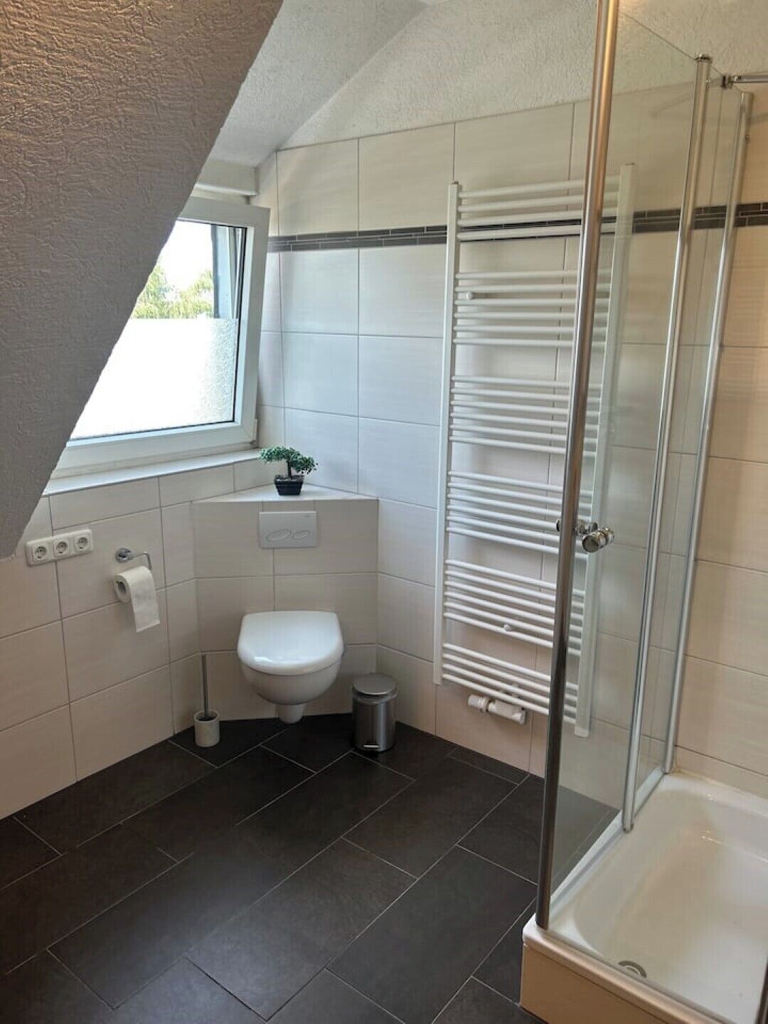 Dusche, Haartrockner, Handtücher, Toilettenpapier