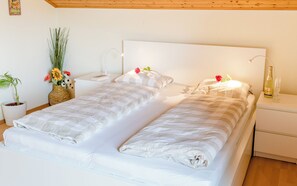 1 多间卧室、熨斗/熨衣板、旅行婴儿床、WiFi