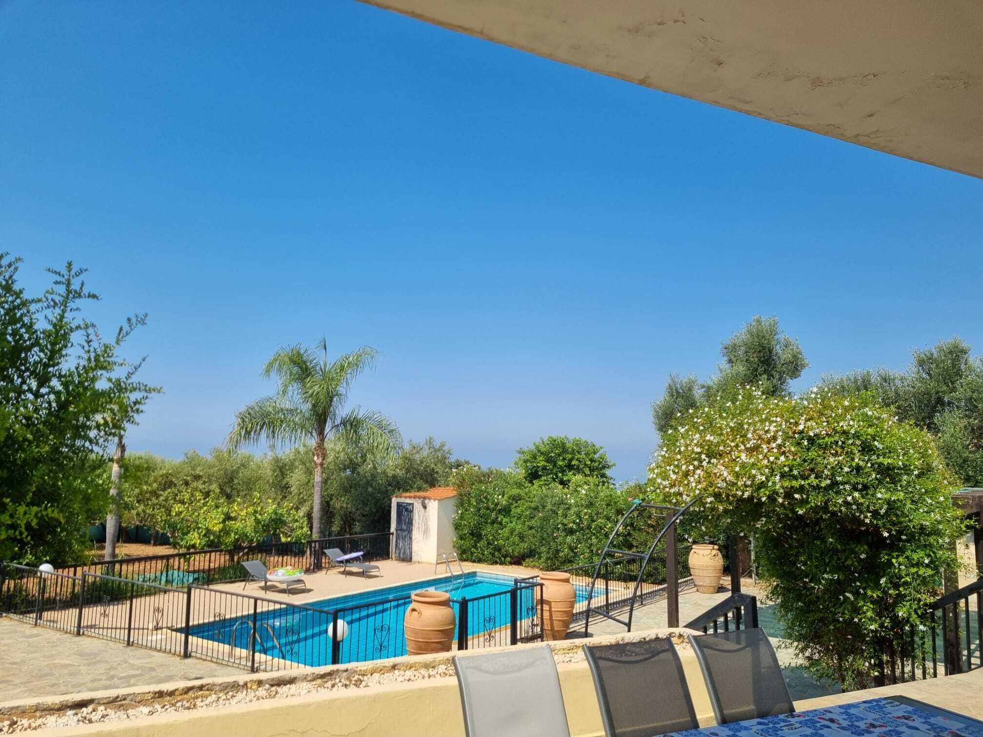 Piscina com espreguiçadeiras e uma pequena estrutura, cercada por vegetação e árvores.