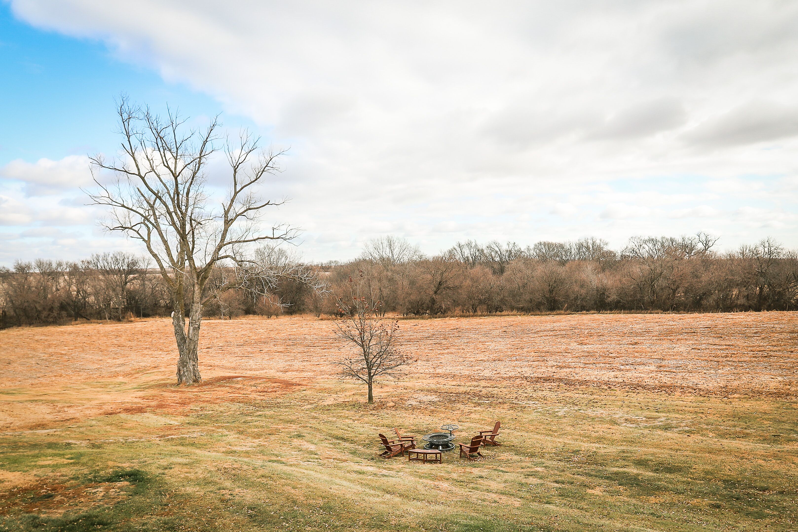 A grassy field with a tree and a fire pit with chairs.