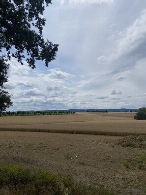 View from room