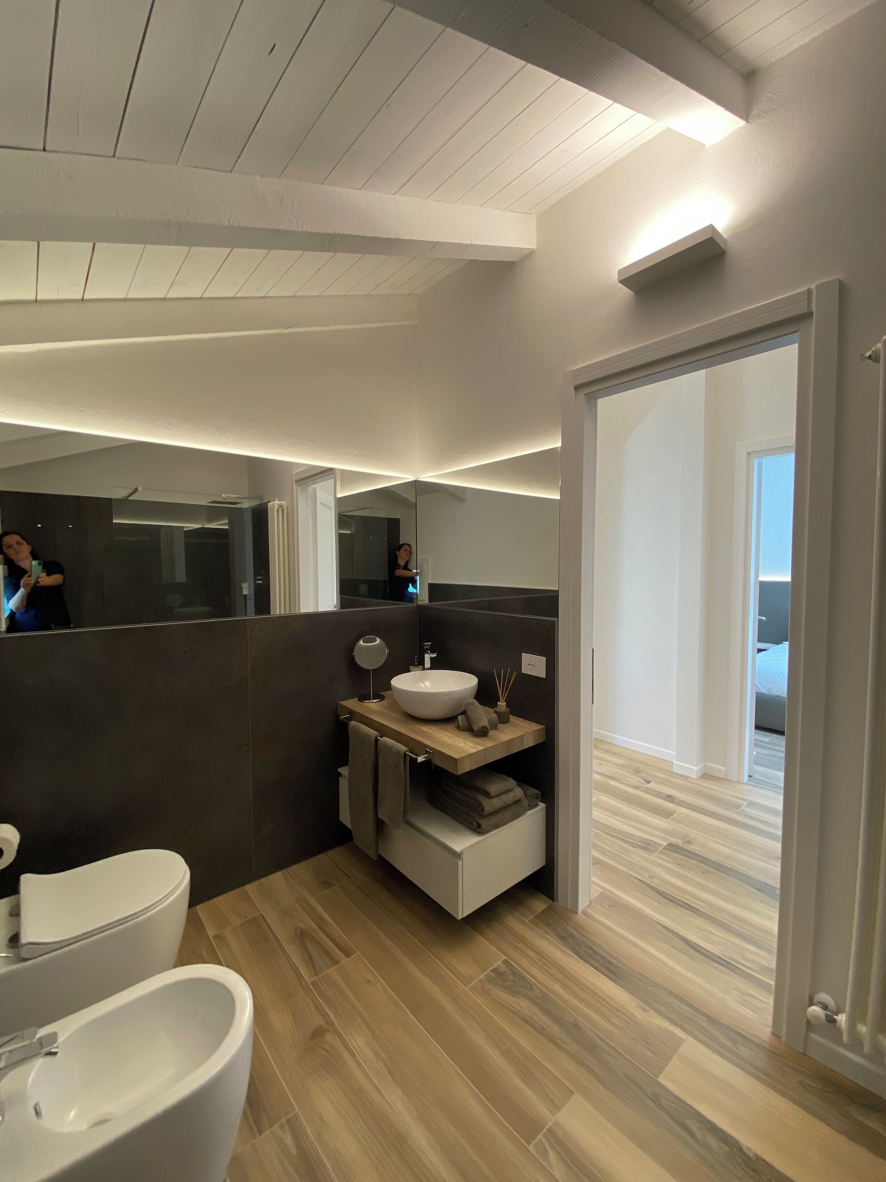 Shower, hair dryer, bidet, towels