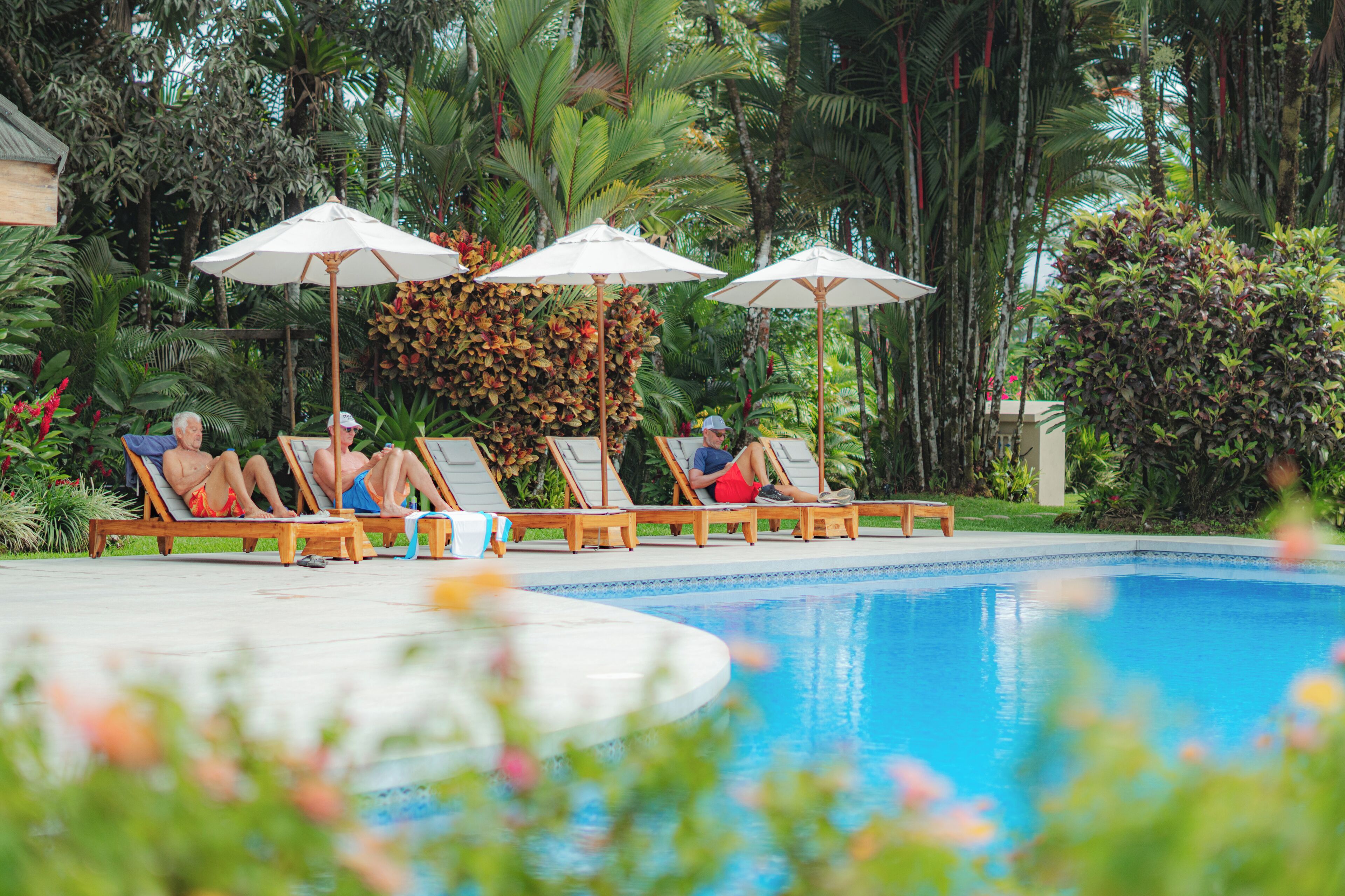 A poolside area with lounge chairs and umbrellas, surrounded by lush tropical vegetation.