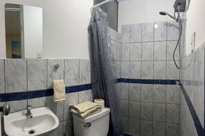 Bathroom features a sink, toilet, and shower area with a mirror above the sink.
