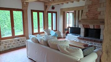 Televisie, een open haard en boeken