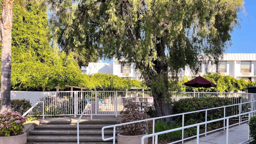 Studio 6 Belmont, CA – San Francisco - Redwood