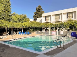Una piscina al aire libre, sombrillas, sillones reclinables de piscina
