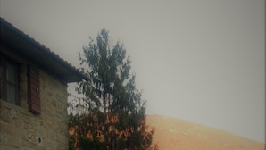A stone building with a gravel path leading to a tree-lined area. - Exclusive Apartment With Fireplace (Castelfranco Piandisco)