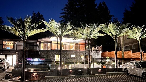 Une maison moderne dotée d’un garage, d’une allée et d’un espace extérieur bien éclairé, agrémenté de palmiers.