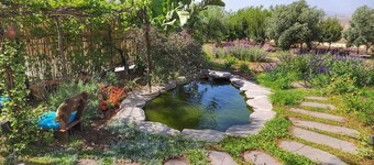 Home for Air-- 9 minutes from sea of Galilee