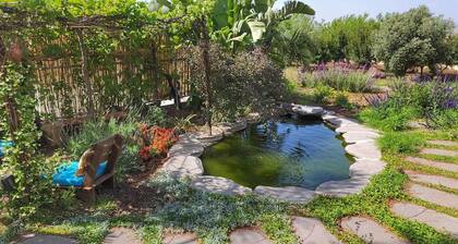 Home for Air-- 9 minutes from sea of Galilee