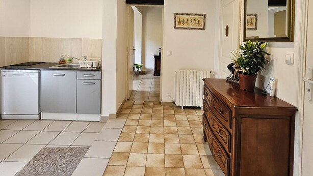 Una cocina amplia con lavavajillas, un mueble de madera y una planta en maceta.