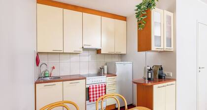 Mukava ja rauhallinen asunto kaupungin keskustassa + Ilmainen pysäköinti