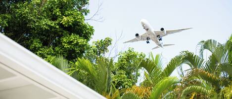 Un avión volando sobre una zona verde exuberante con vegetación densa.