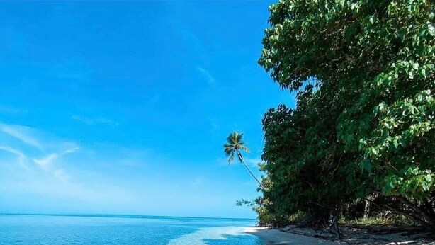 Uma praia com águas claras e rasas, areal arenoso e vegetação verde exuberante.