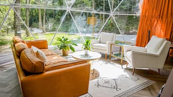 Chimenea, libros