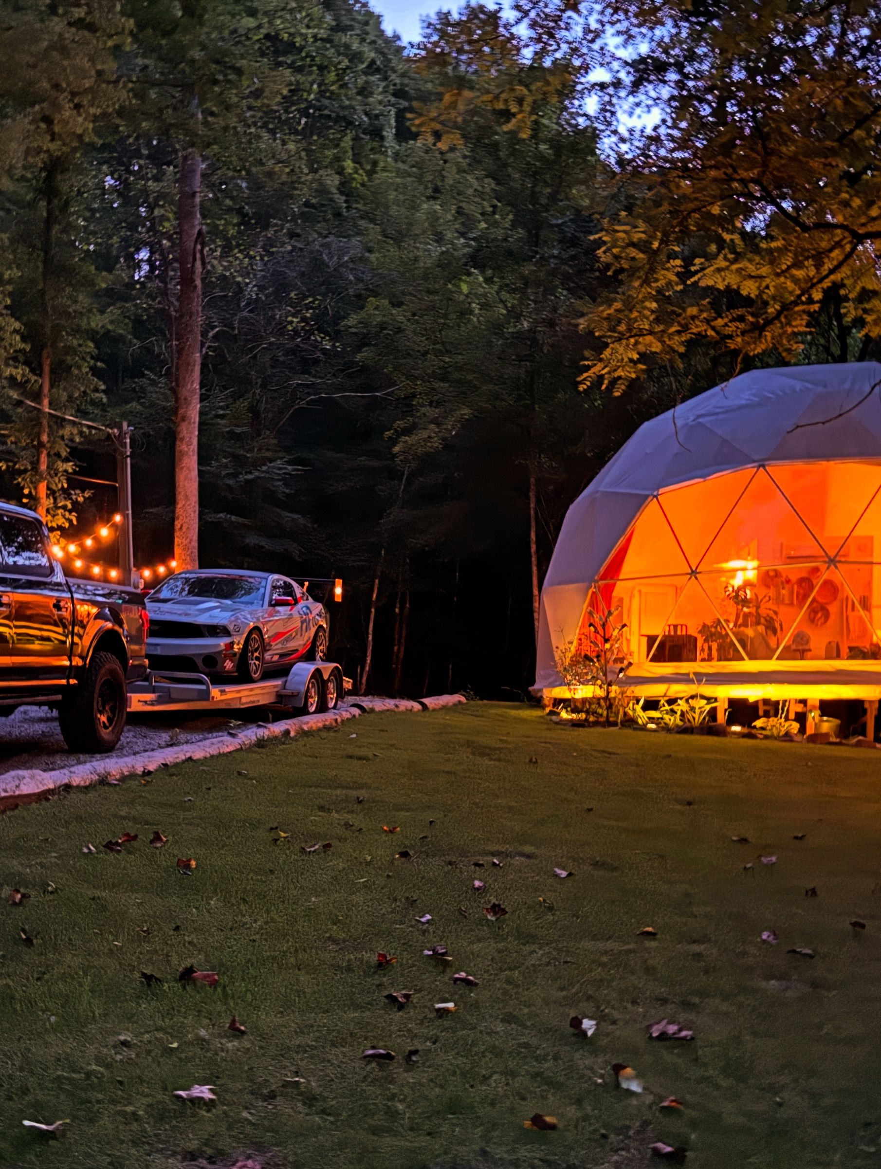 A tent-like structure with a dome roof, surrounded by trees and a grassy area.